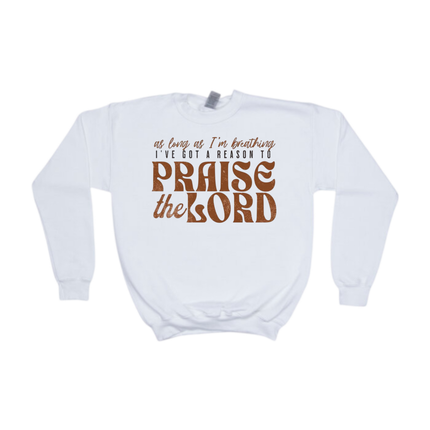 I've Got A Reason To Praise The Lord T-Shirt or Crewneck